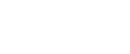Logo IB3N